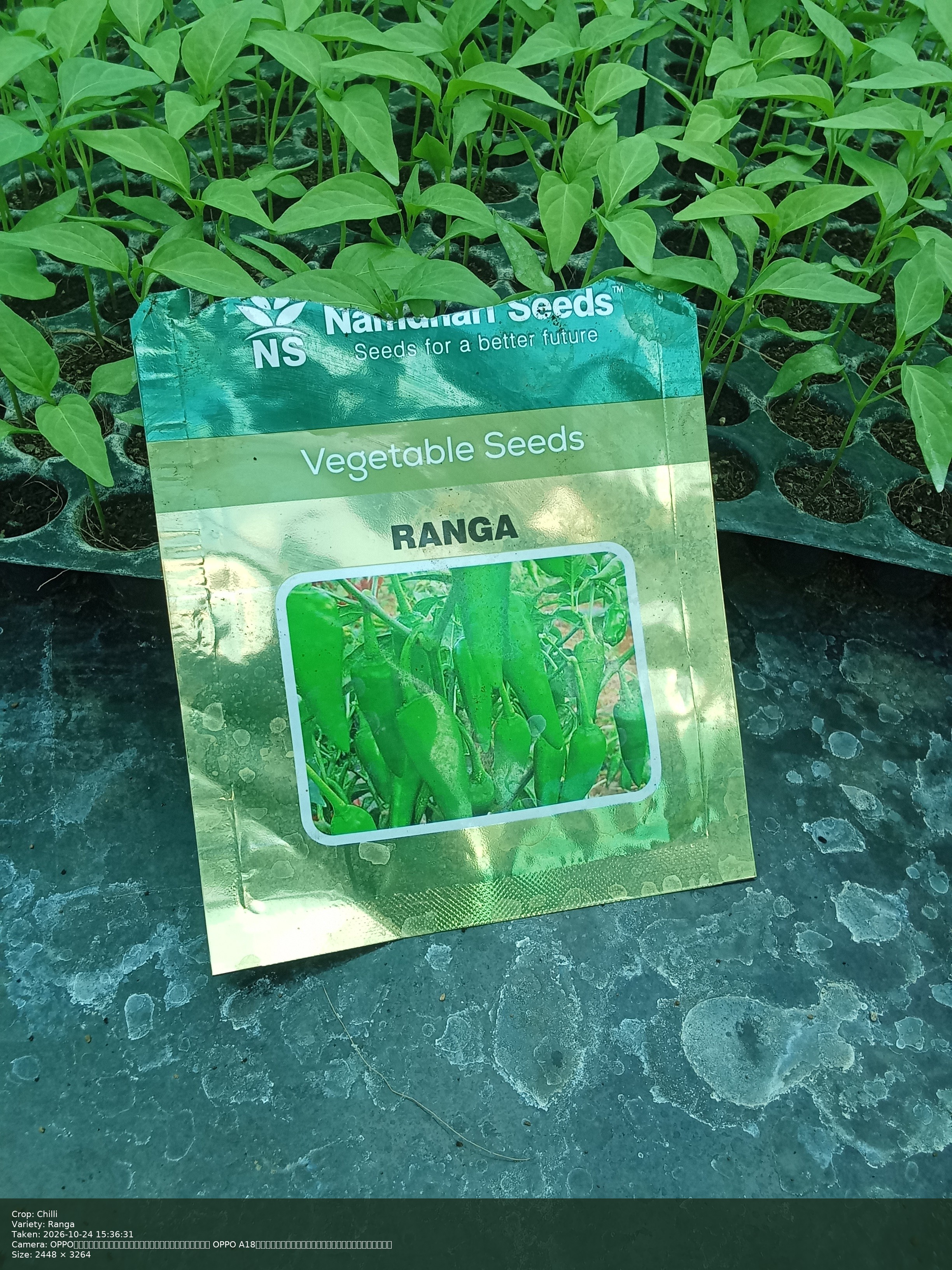 Ranga